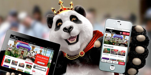 Royal Panda opis kasyna Royal Panda opis kasyna