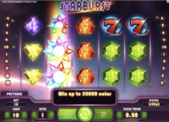 Starburst Free Spiny Starburst Free Spiny